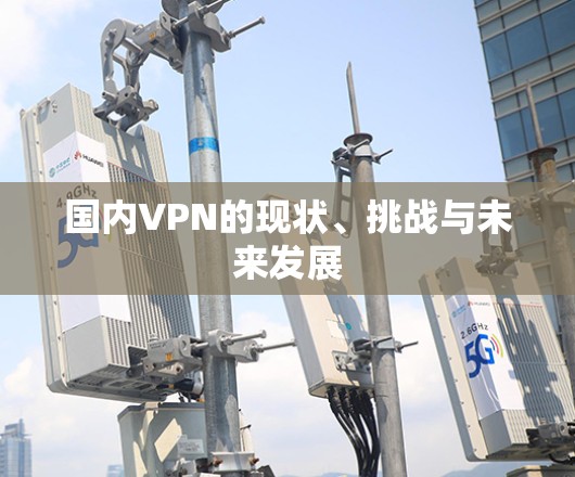 国内VPN的现状、挑战与未来发展